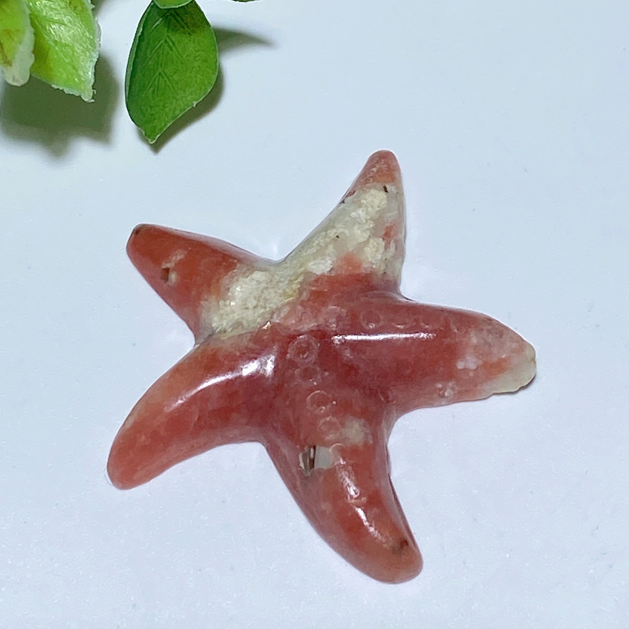 Étoiles de mer en cristal mixte sculptées de 1,4 à 1,7 pouces, animaux en cristal de guérison