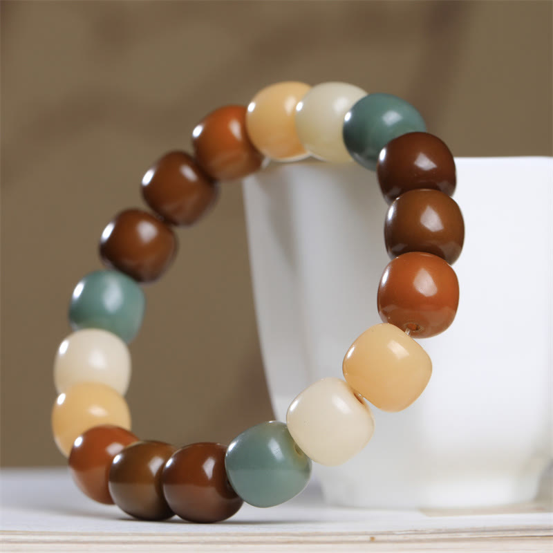 Bracelet de graines Bodhi multicolores pour la protection et la méditation