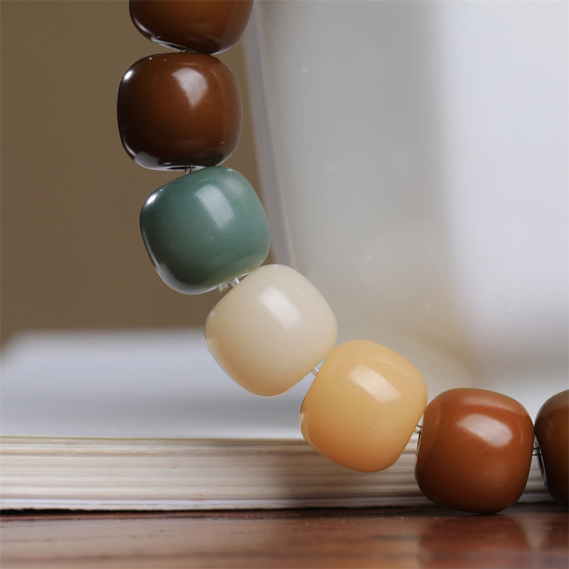 Bracelet de graines Bodhi multicolores pour la protection et la méditation