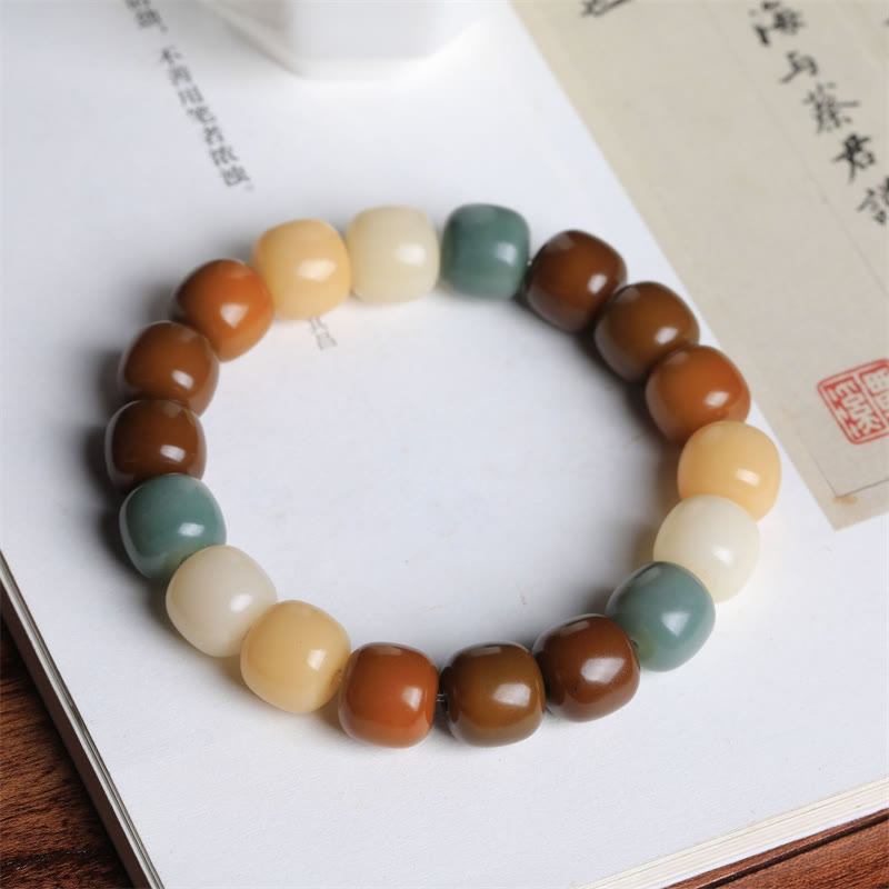Bracelet de graines Bodhi multicolores pour la protection et la méditation