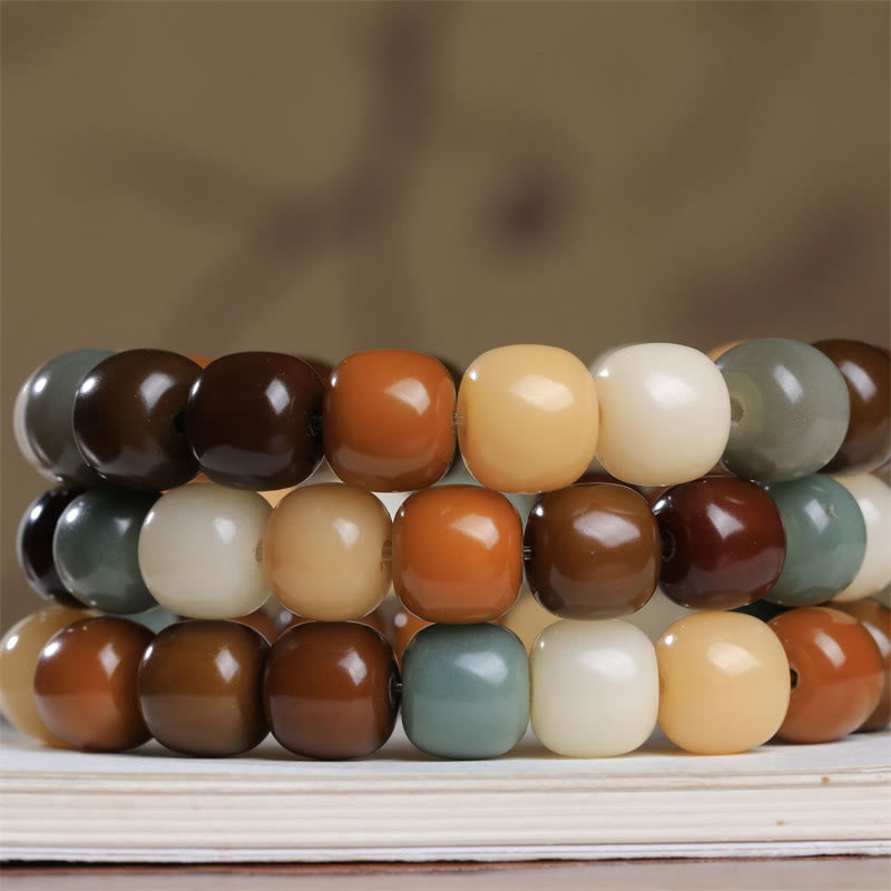 Bracelet de graines Bodhi multicolores pour la protection et la méditation