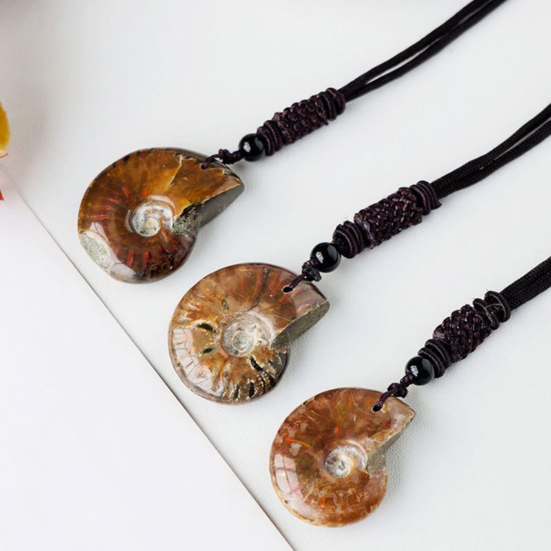 Collier pendentif de méditation en ammonite naturelle pour la guérison