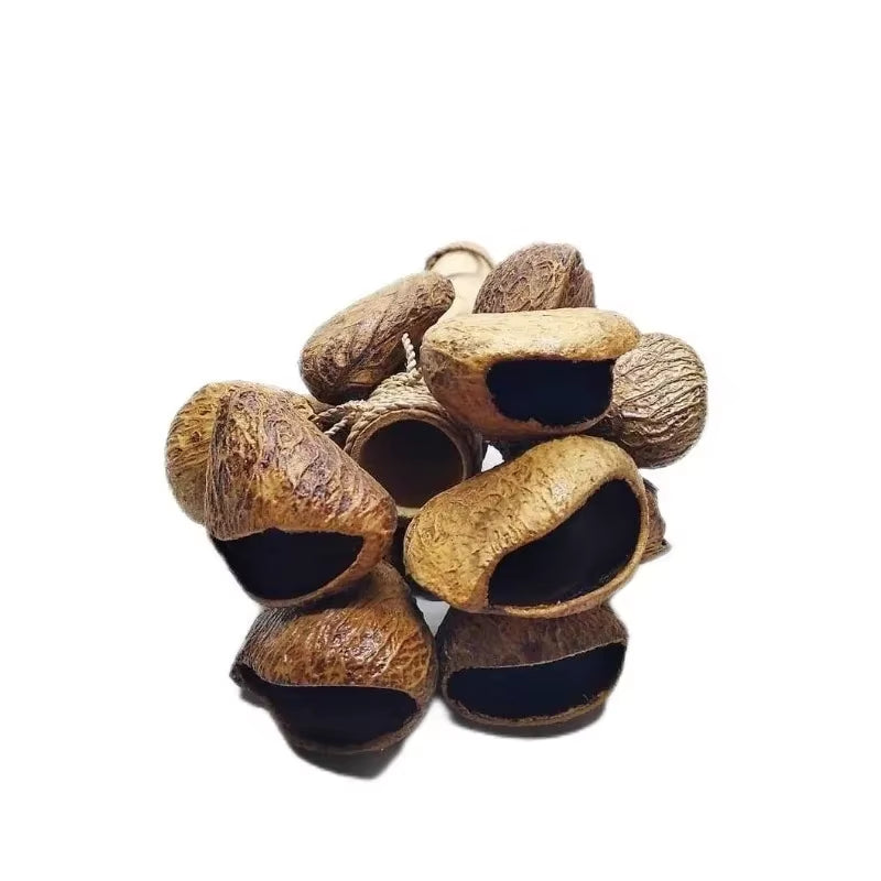 Fruit Shell Hand Bell Yoga Meditation Natural Seed Shell Healing Sound Beam Bells Rod Therapy Musical Percussion Instruments