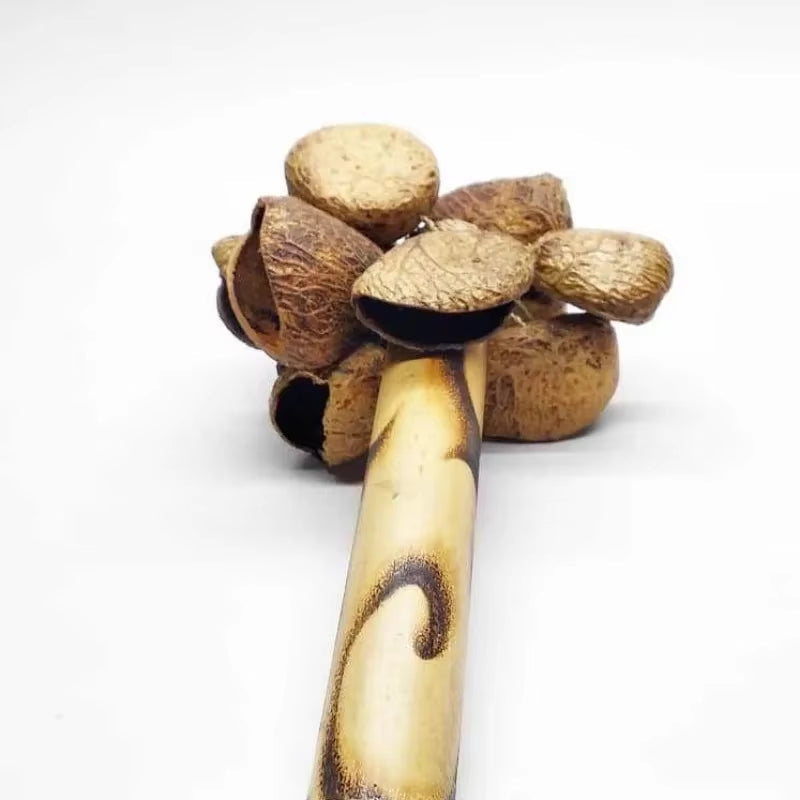 Fruit Shell Hand Bell Yoga Meditation Natural Seed Shell Healing Sound Beam Bells Rod Therapy Musical Percussion Instruments