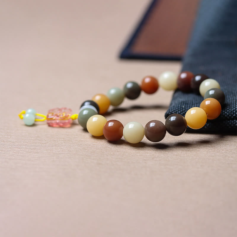 Bracelet spirituel en graines de Bodhi multicolores naturelles pour la paix