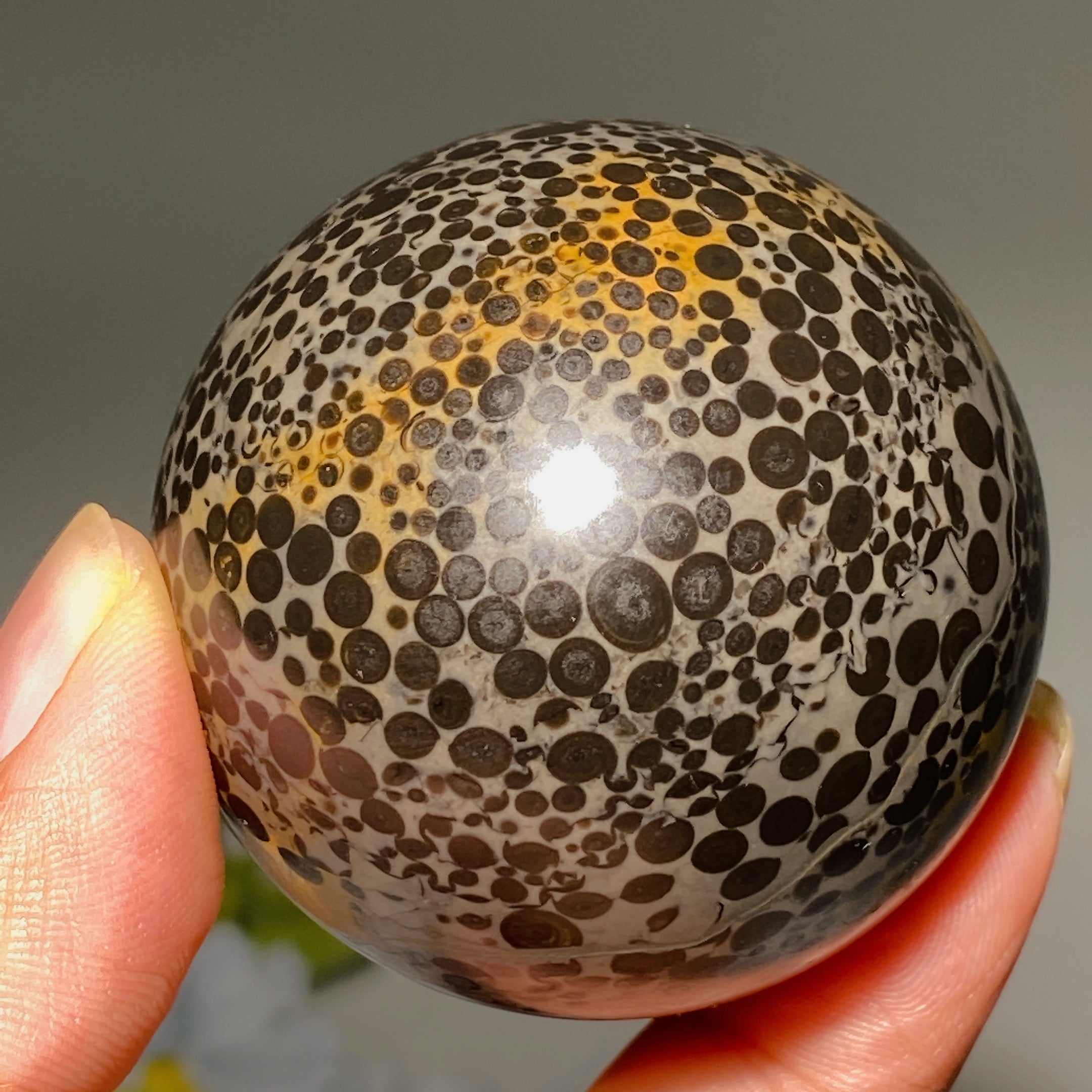 Oolitic Jasper Crystal Sphere 1.9-2.0 inch Healing Orb