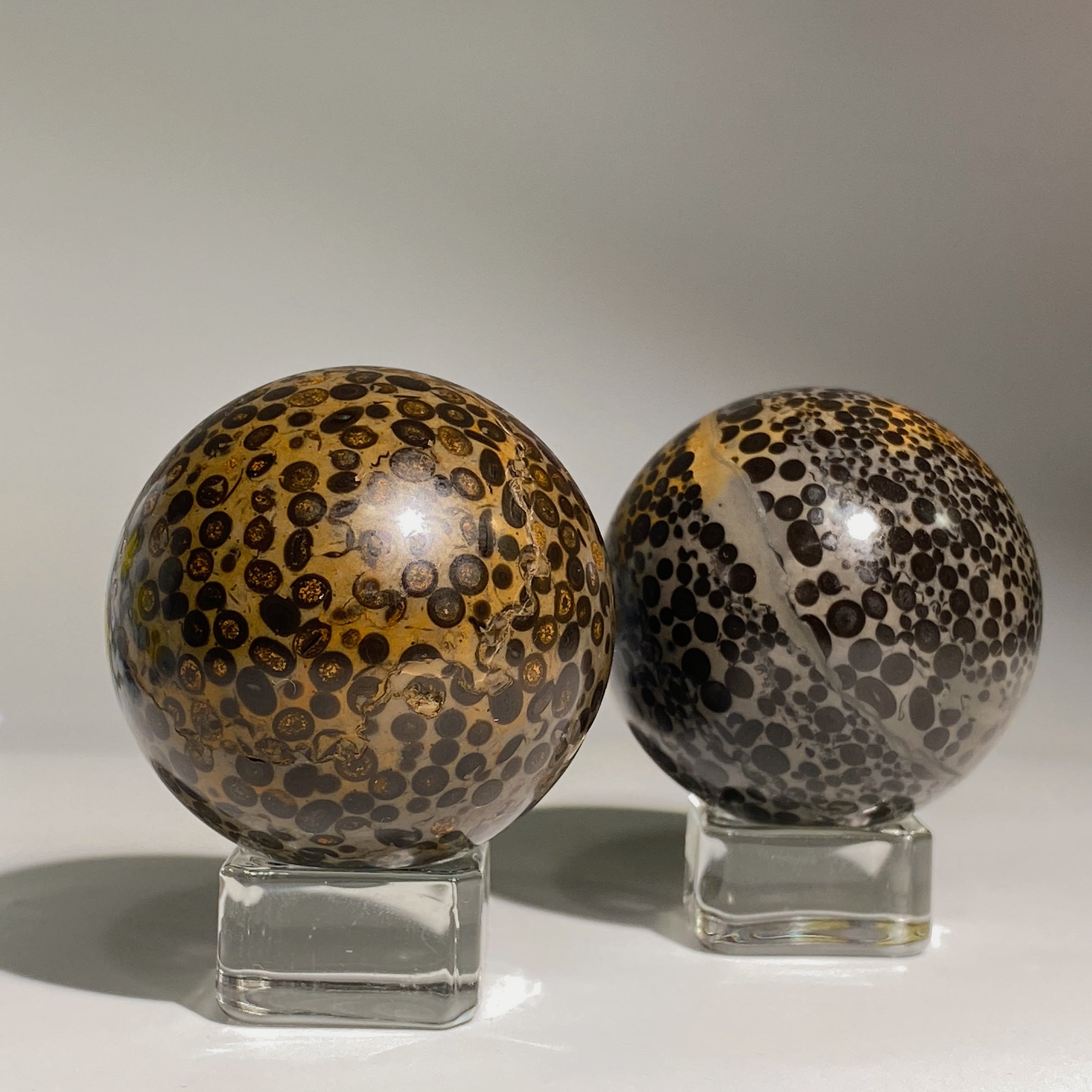 Oolitic Jasper Crystal Sphere 1.9-2.0 inch Healing Orb