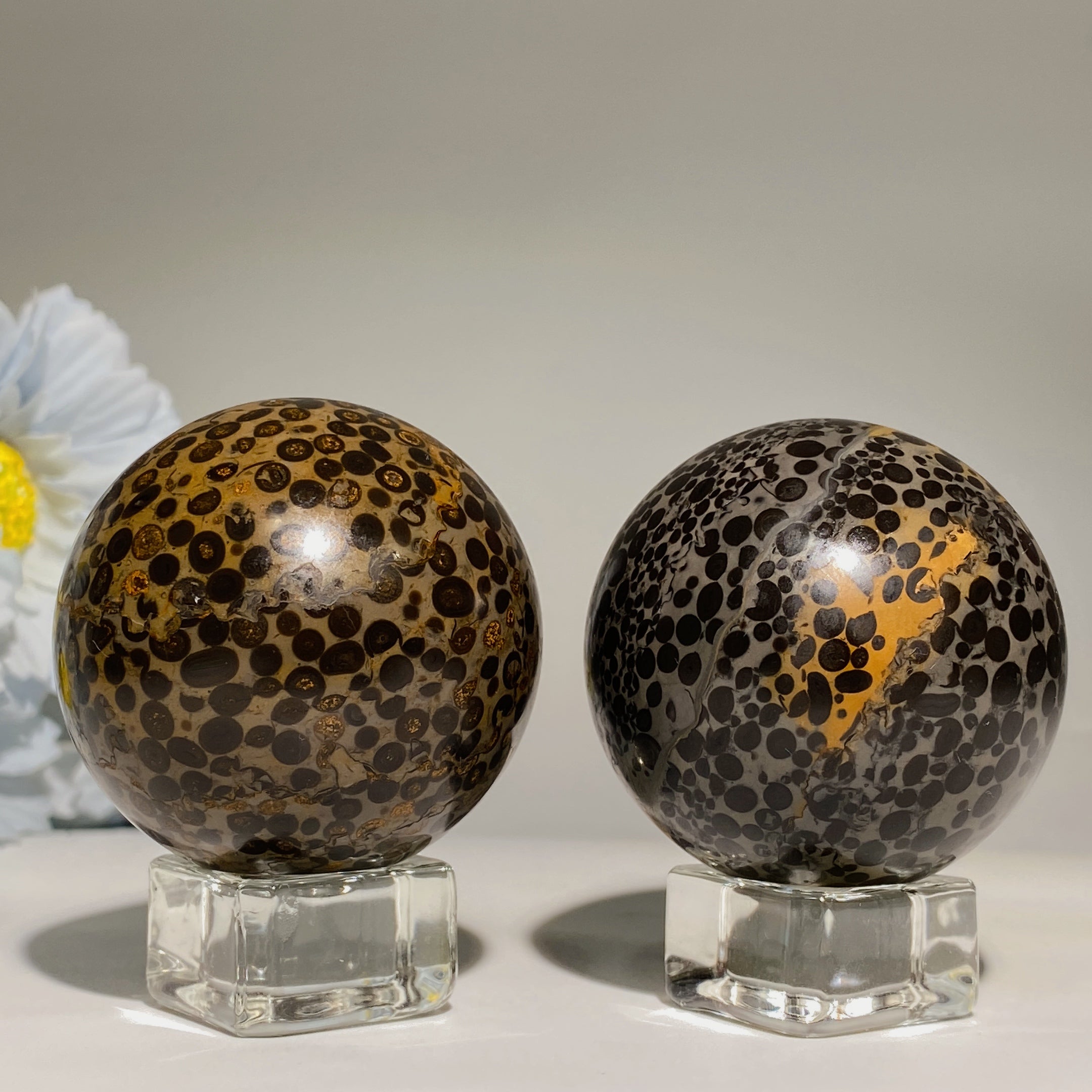 Oolitic Jasper Crystal Sphere 1.9-2.0 inch Healing Orb
