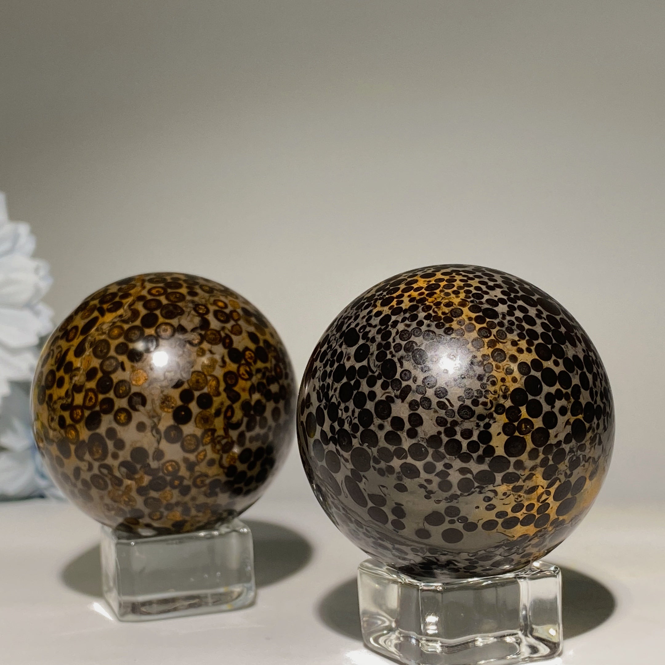 Oolitic Jasper Crystal Sphere 1.9-2.0 inch Healing Orb