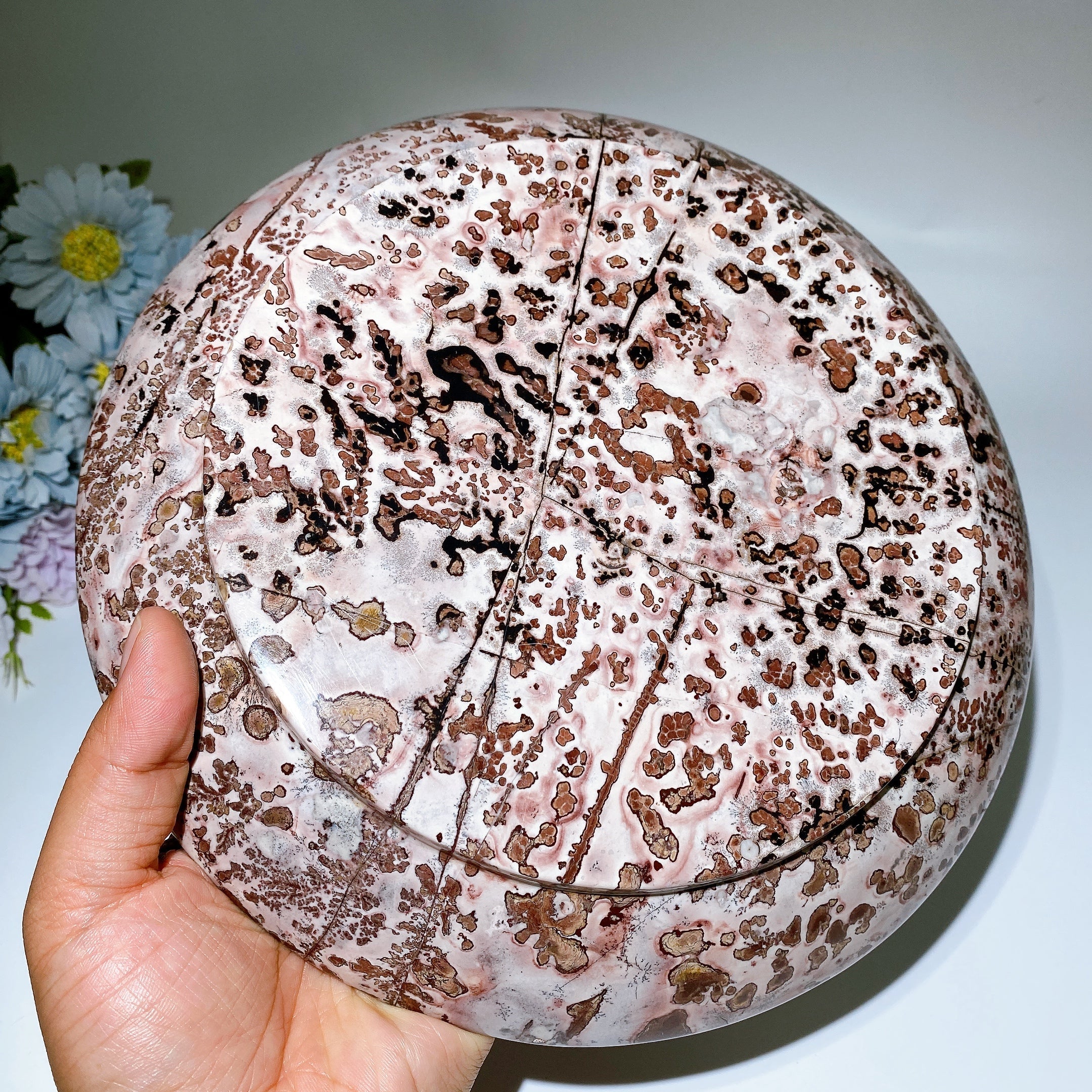 Polished Picture Jasper Plate Crystal 20.5-24cm Healing Display