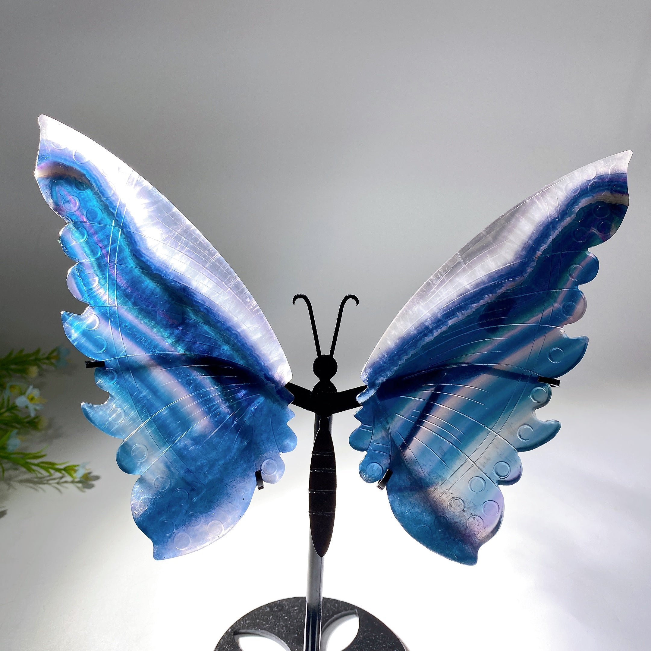 Rainbow Fluorite Butterfly Wings Crystal Figurine 12-22cm