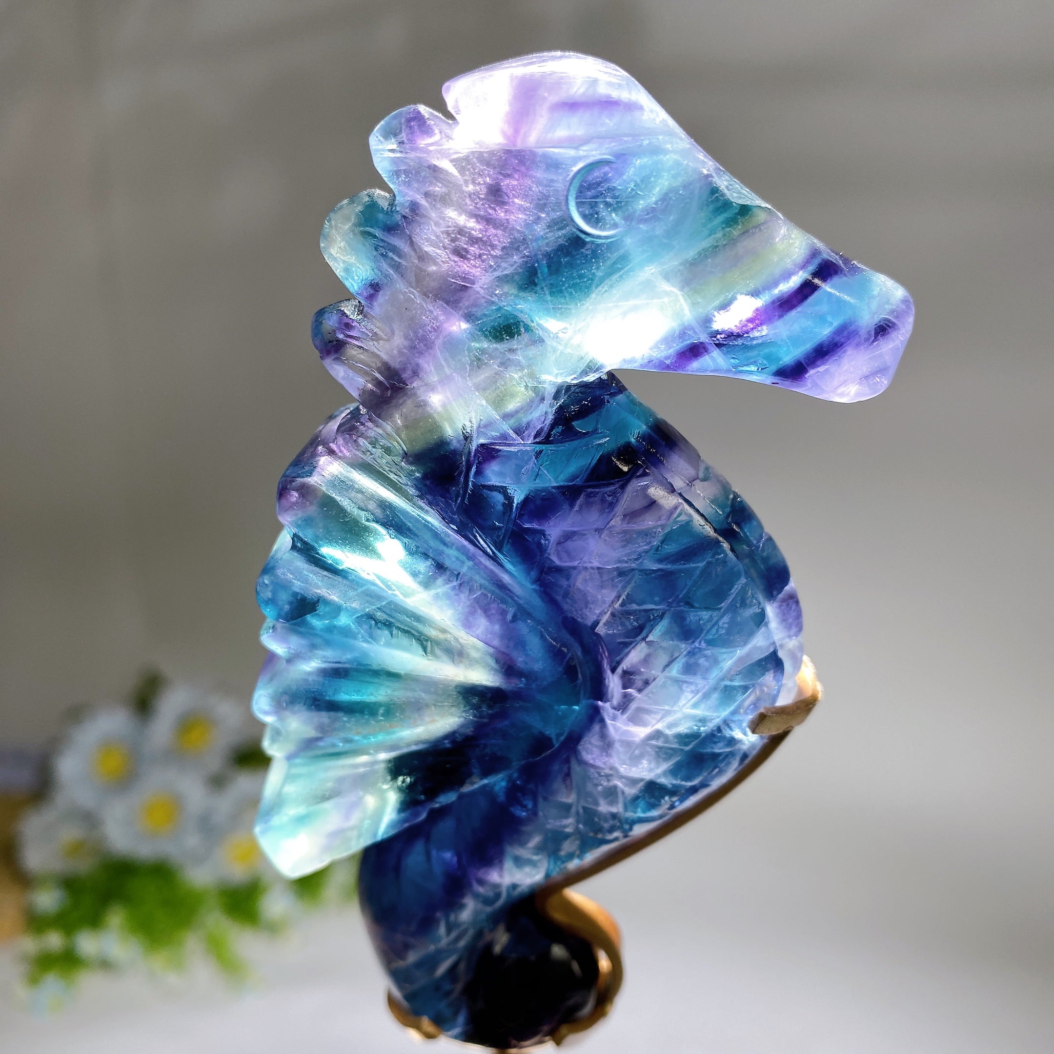 Rainbow Fluorite Seahorse Healing Crystal Carving Display
