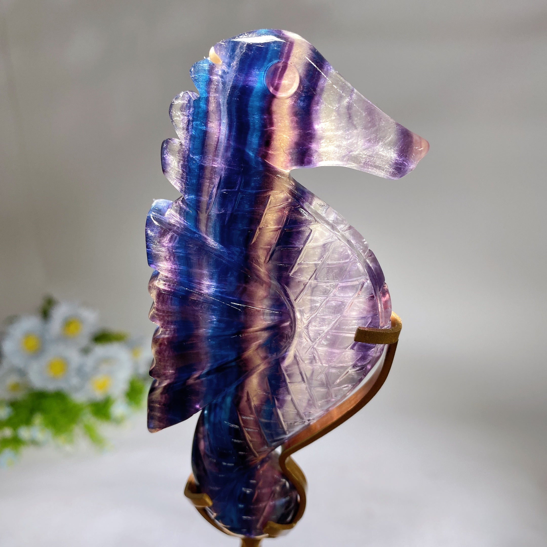 Rainbow Fluorite Seahorse Healing Crystal Carving Display
