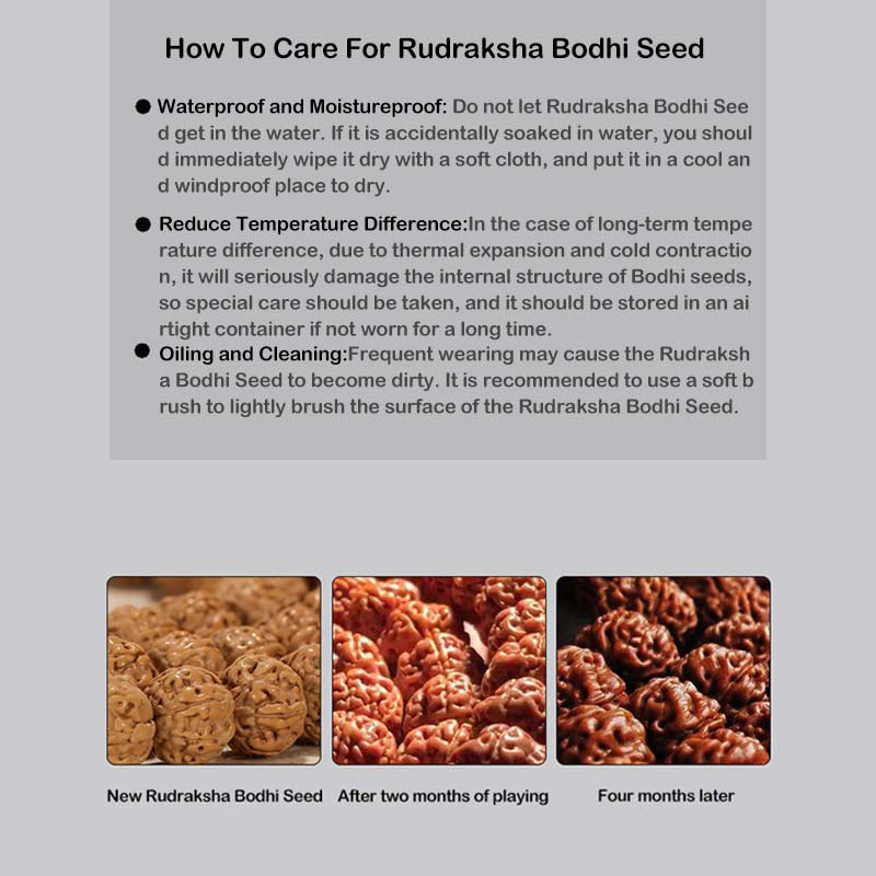 Bracelet spirituel Rudraksha Bodhi Seed 9 mm | Wealth Energy