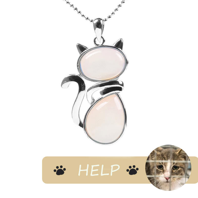Collier pendentif de protection spirituelle Save A Cat