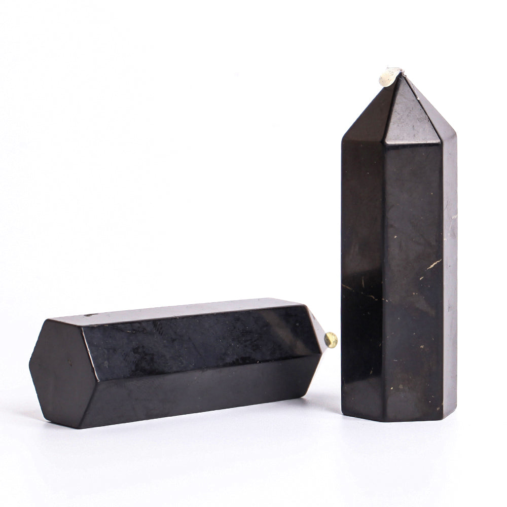 Lot de 2 pointes de cristal de shungite polies de 3,1 pouces