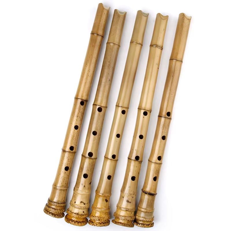 Shakuhachi-Handmade Natural Bamboo Chinese Traditional Musical Instrument for Beginners, 1.8 D Key, Woodwind Flutes