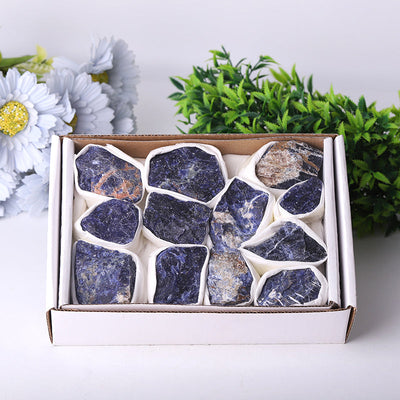 Coffret de collection de pierres brutes de sodalite 5 x 7 pouces pour le calme
