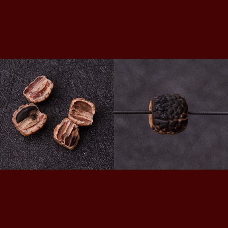 Bracelet Mala tibétain à 108 perles Bodhi Seed Zodiac Charm