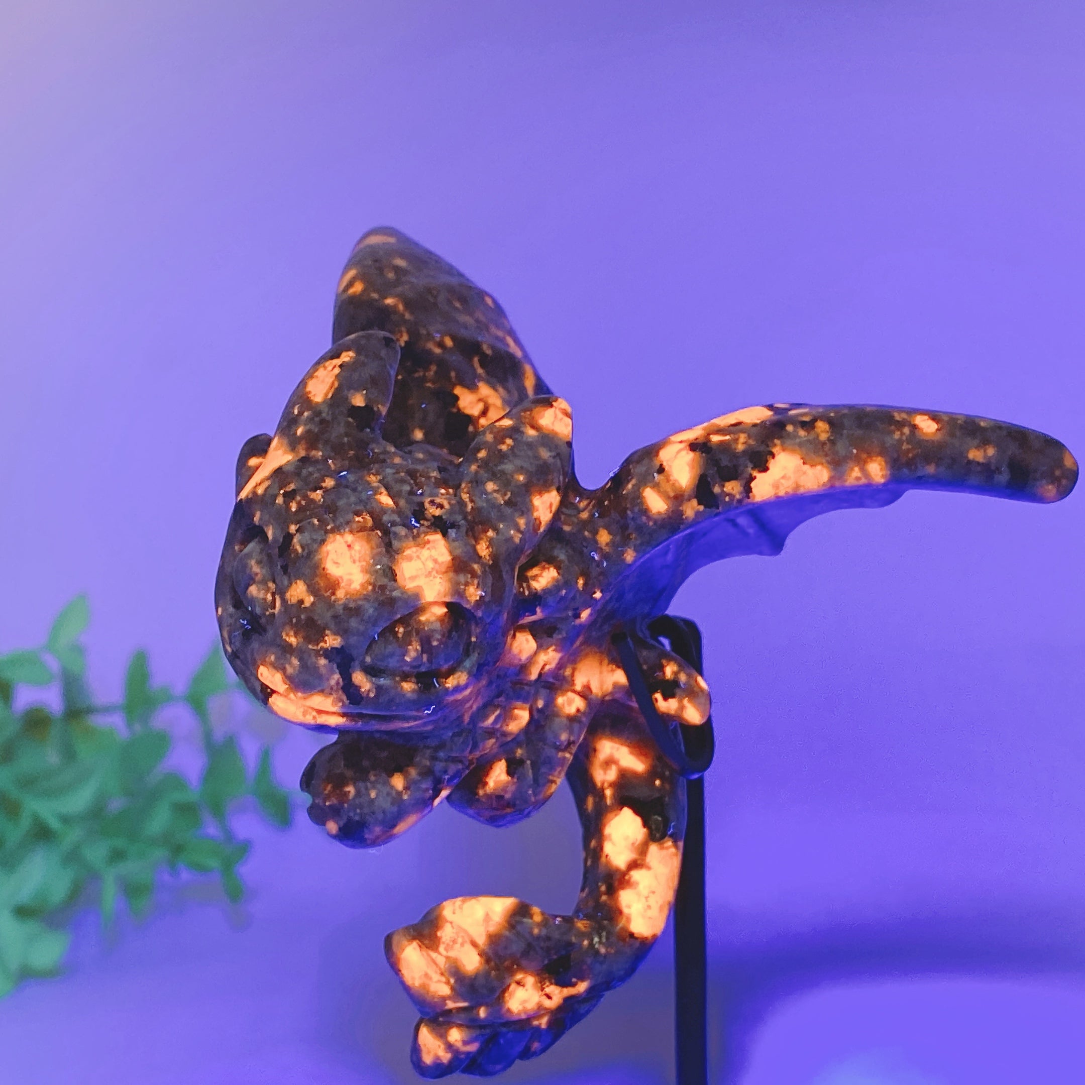 UV Reactive Yooperlite Toothless Crystal Carving 3.1x3.8in